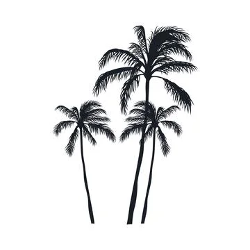 Coconut tree vector silhouette Stock Illustration