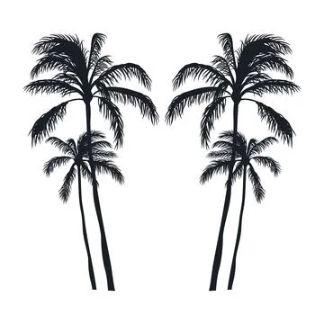 Coconut tree vector silhouette 스톡 일러스트