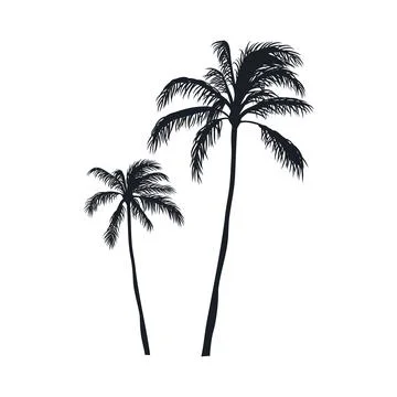 Coconut tree vector silhouette Stock Illustration