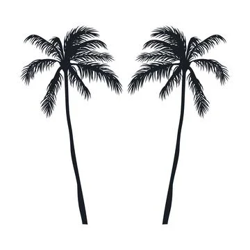 Coconut tree vector silhouette Stock Illustration