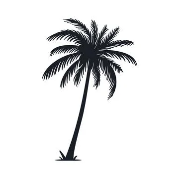 Coconut tree vector silhouette 스톡 일러스트