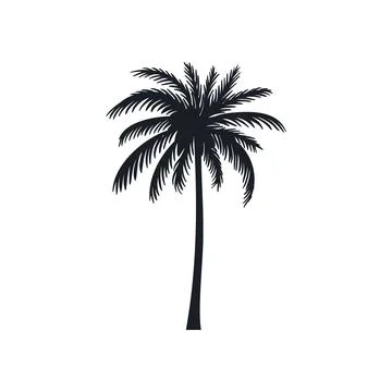 Coconut tree vector silhouette 스톡 일러스트