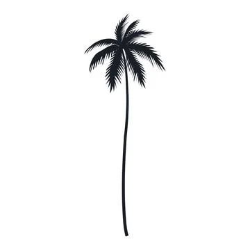 Coconut tree vector silhouette 스톡 일러스트