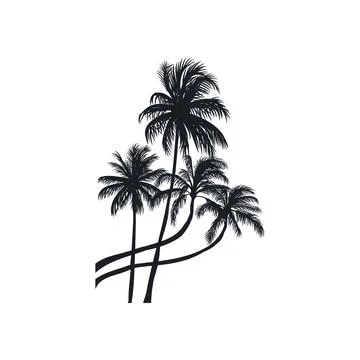 Coconut tree vector silhouette 스톡 일러스트