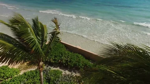 Coconut Trees and Resort Scenery at Island Seas, Freeport Bahamas Stock Footage 101658855