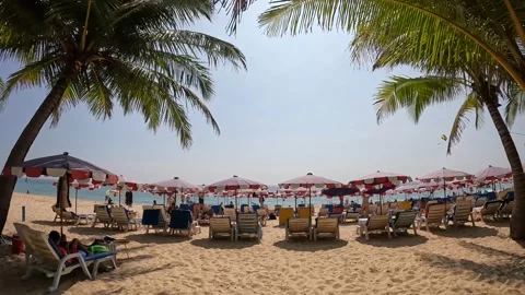 Coconut trees and summer beach in Phuket Stock Footage 245285302