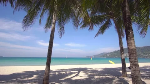 Coconut trees on the beach	 Vídeo Stock 153378423