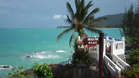 Coconut Trees On The Beach Stock Footage 244763755