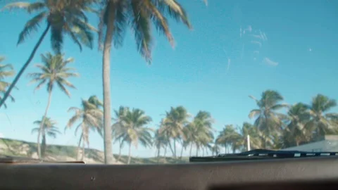 Coconut trees by car Video stock 128139155