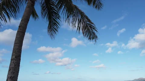 Coconut trees with clouds and blue skies in Hawaii Stock Footage 131788109