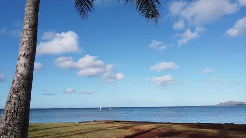 Coconut trees with clouds and blue skies in Honolulu Stock Footage 131789983