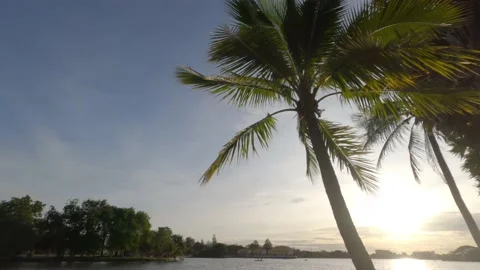 Coconut trees by the lake at sunset Video stock 196872571