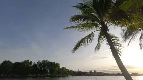 Coconut trees by the lake at sunset Video stock 196872573