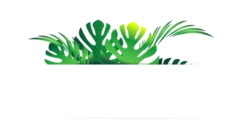 Coconut trees leaf border isolated with space for text Stock Footage 135231012