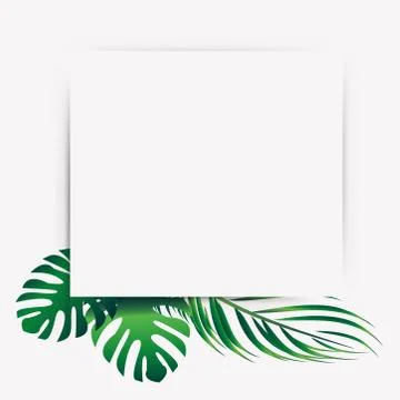 Coconut trees leaf border isolated with space for text Stock Illustration
