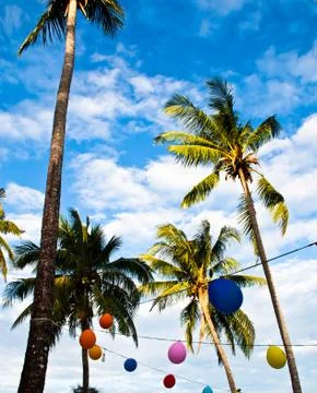 Coconut trees with multi-colored balloons. Stock Photos