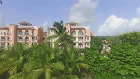 Coconut Trees, Palms, White sand Beaches perfect for Travel Stock Footage 88572534