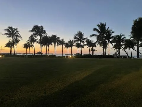 Coconut Trees Foto stock