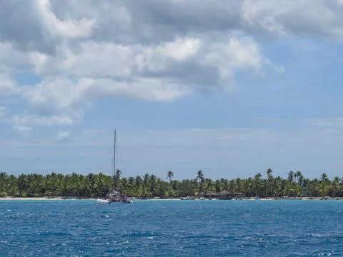 Coconut trees Stock Photos