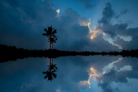 Coconut Trees Reflection On Water Under blue Cloudy Sky Stock Photos
