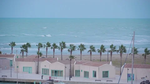The coconut trees on the sea shore 스톡 동영상 83357949