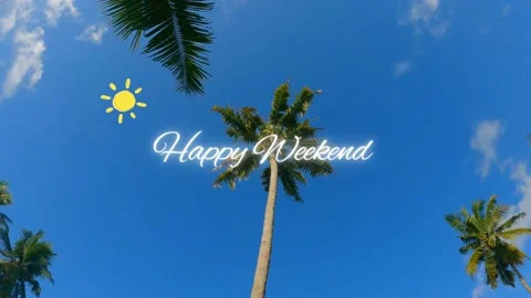 Coconut Trees Stand against the Background of the Blue Sky Stock Footage 232968927