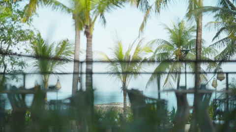 Coconut trees sway gently behind a fence on a sunny tropical beach. Video stock 328041814