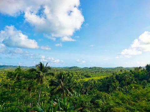 Coconut Trees View Deck Foto stock