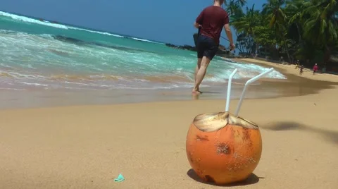 Coconut on the Tropical Beach 스톡 동영상 61752630