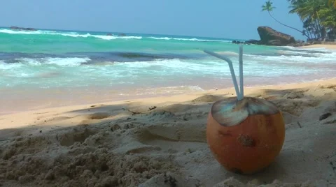 Coconut on the Tropical Beach with Palms Видео 61752629