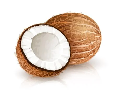 Coconut tropical nut fruit with cut Stock Illustration