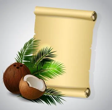 Coconut tropical nut fruit Stock Illustration