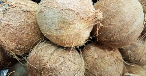 Coconut - Tropical Stock Photos