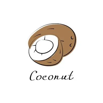 Coconut vector cartoon flat illustration. Coco nut sign. Fruit and vegetable Stock Illustration