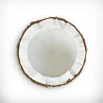 Coconut, vector icon Stock Illustration