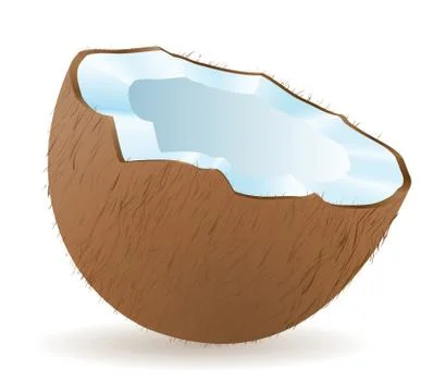 Coconut vector illustration Stock Illustration