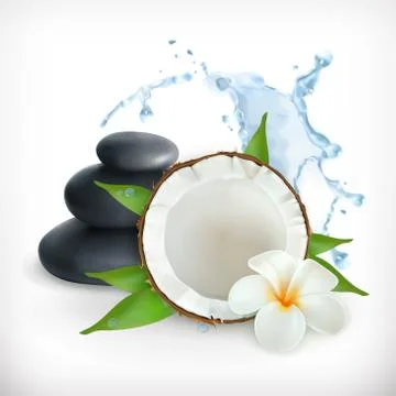 Coconut, vector illustration Stock Illustration