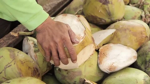Coconut vendor in Philippines Stock Footage 160583384