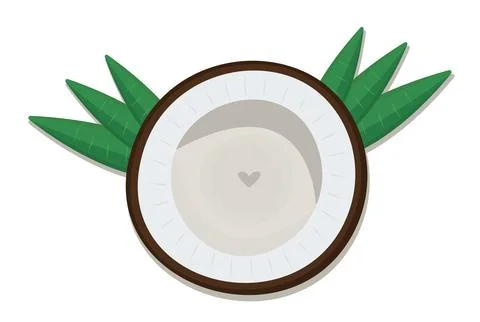Coconut, view from above Stock Illustration
