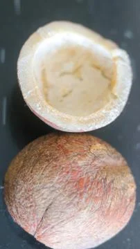 Coconut wallpaper image Foto stock
