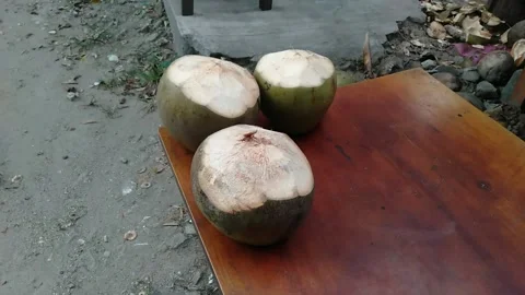 Coconut water Stock Footage 239549436