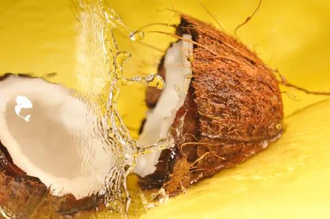 Coconut with  water splash Foto stock