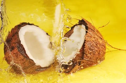 Coconut with  water splash Stock Photos