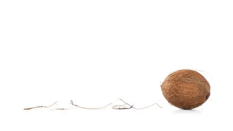 Coconut on white background, with copy space for text Foto stock