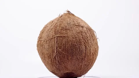 Coconut on a white background Stock Footage 131205038