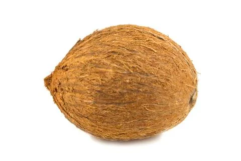 Coconut on a white background Stock Photos