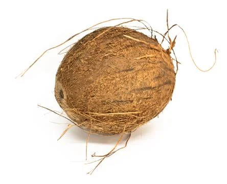 Coconut on white background Stock Photos