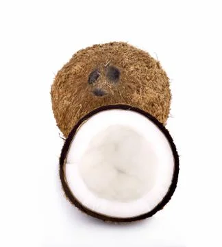 Coconut on white background Foto stock