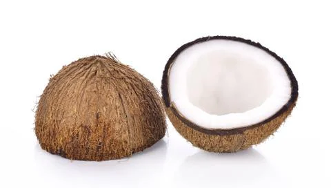 Coconut on a white background Stock Photos