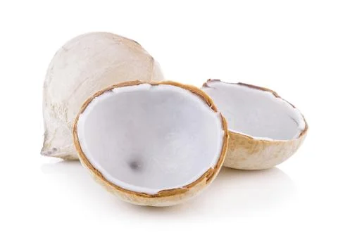 Coconut on white background Stock Photos
